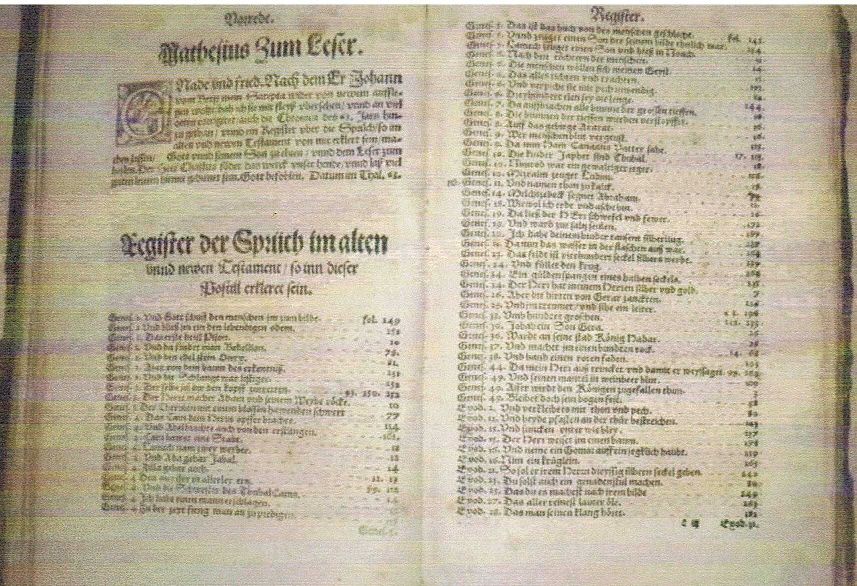 SAREPTA (7).jpg